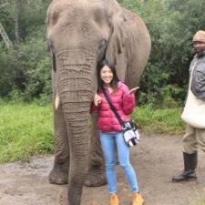 Haiyi - South Africa